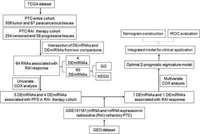 Construction of a Signature Model to Predict the Radioactive Iodine Response of Papillary Thyroid Cancer